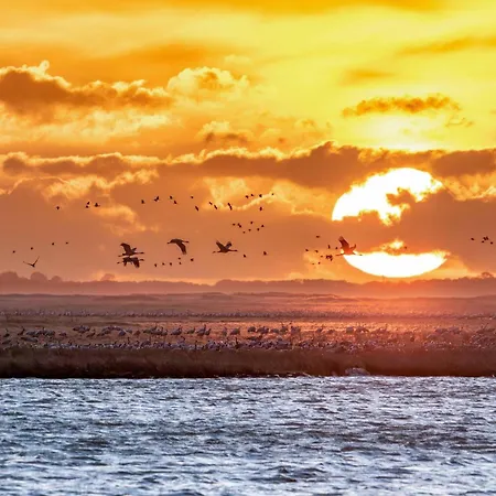 Apartment Urlaub Im Gruenen - Schmiede *